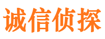 中宁市调查公司